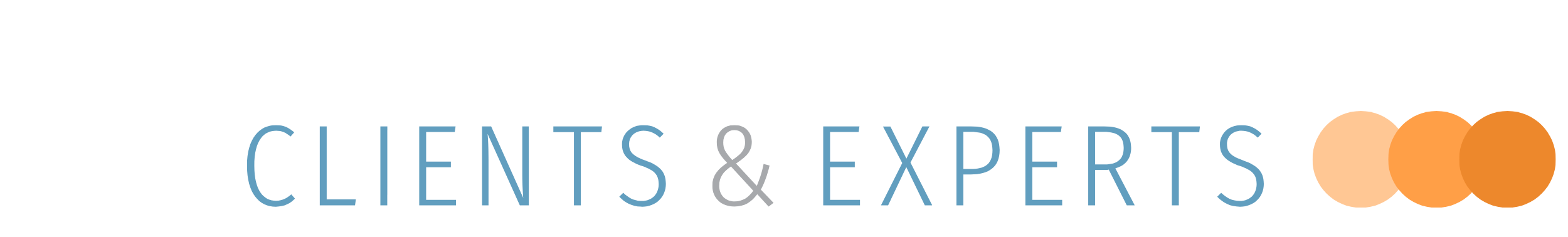 Clients & Experts Consulting GmbH